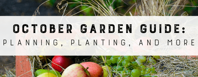 October Planting Guide: What to Plant in Your Garden