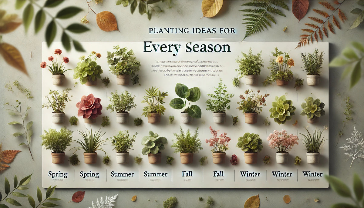 Planting Ideas for Every Season