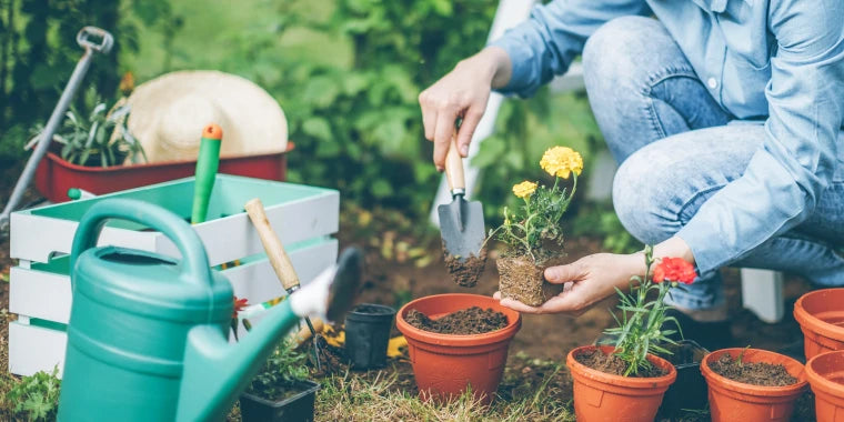 Garden essentials Kits and Their Use