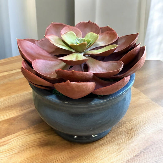 Artificial echeveria succulent in gray ceramic pot