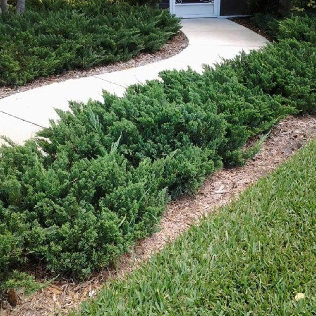 homeandgardensforless.com