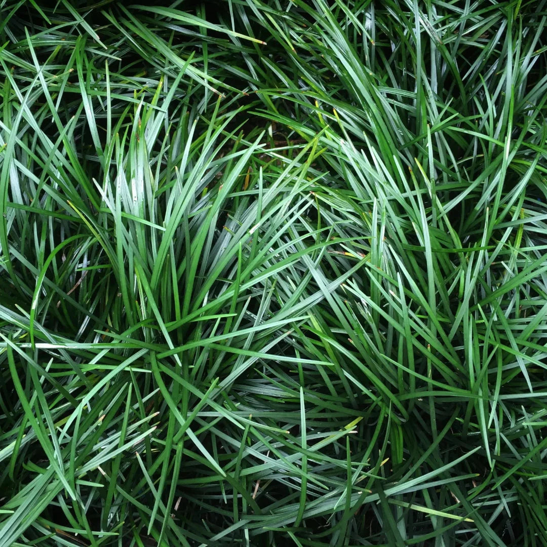 homeandgardensforless.com