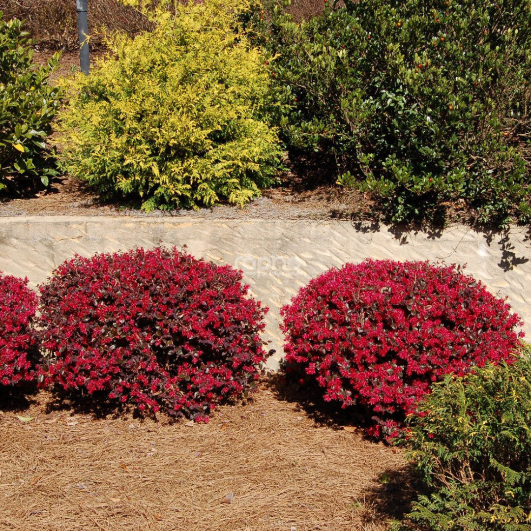 homeandgardensforless.com