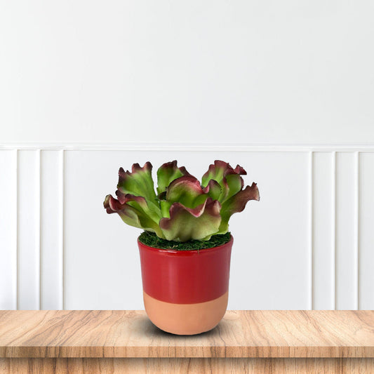 Gorgeous Artificial Plant in Pot of Your Choice -Good Gift – artificial plant