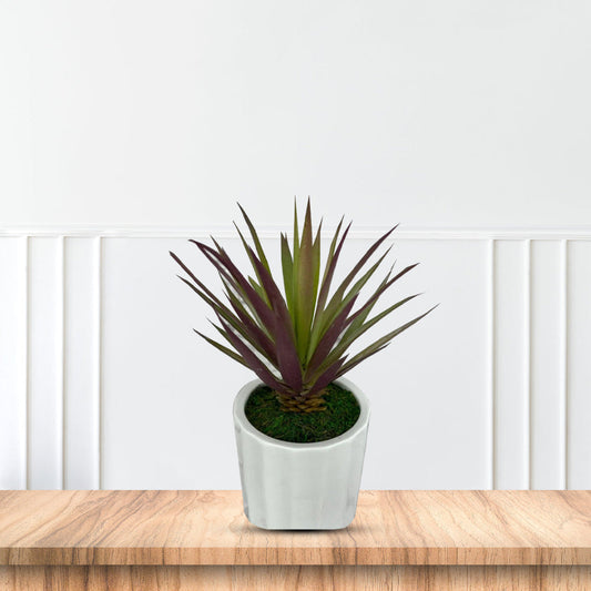 Artificial Plant - Gorgeous Succulents in Ceramic Pot-Good Gift – artificial plant