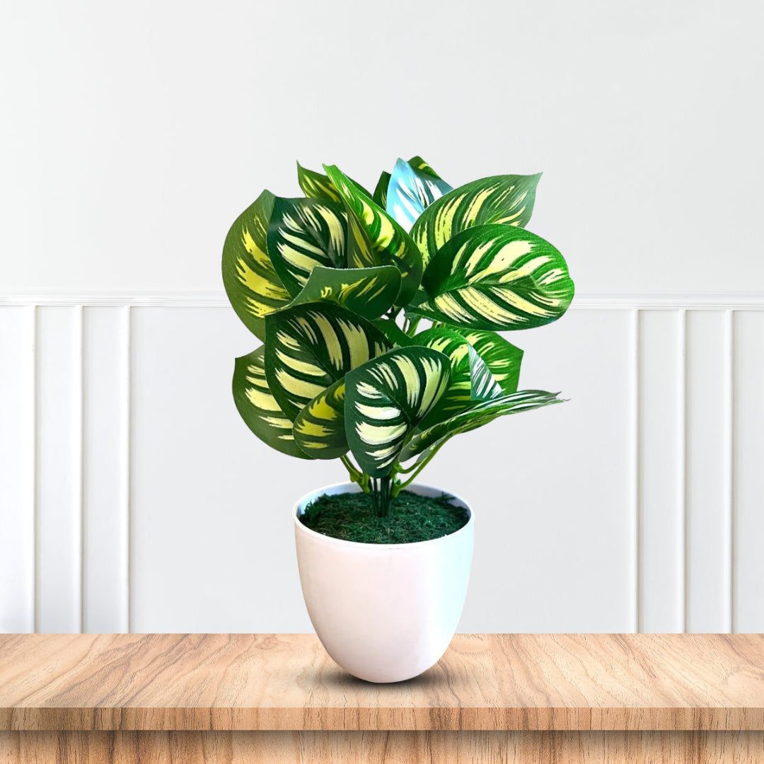 peacock plant indoor Artificial Peacock Plant for Sale – Tropical Foliage