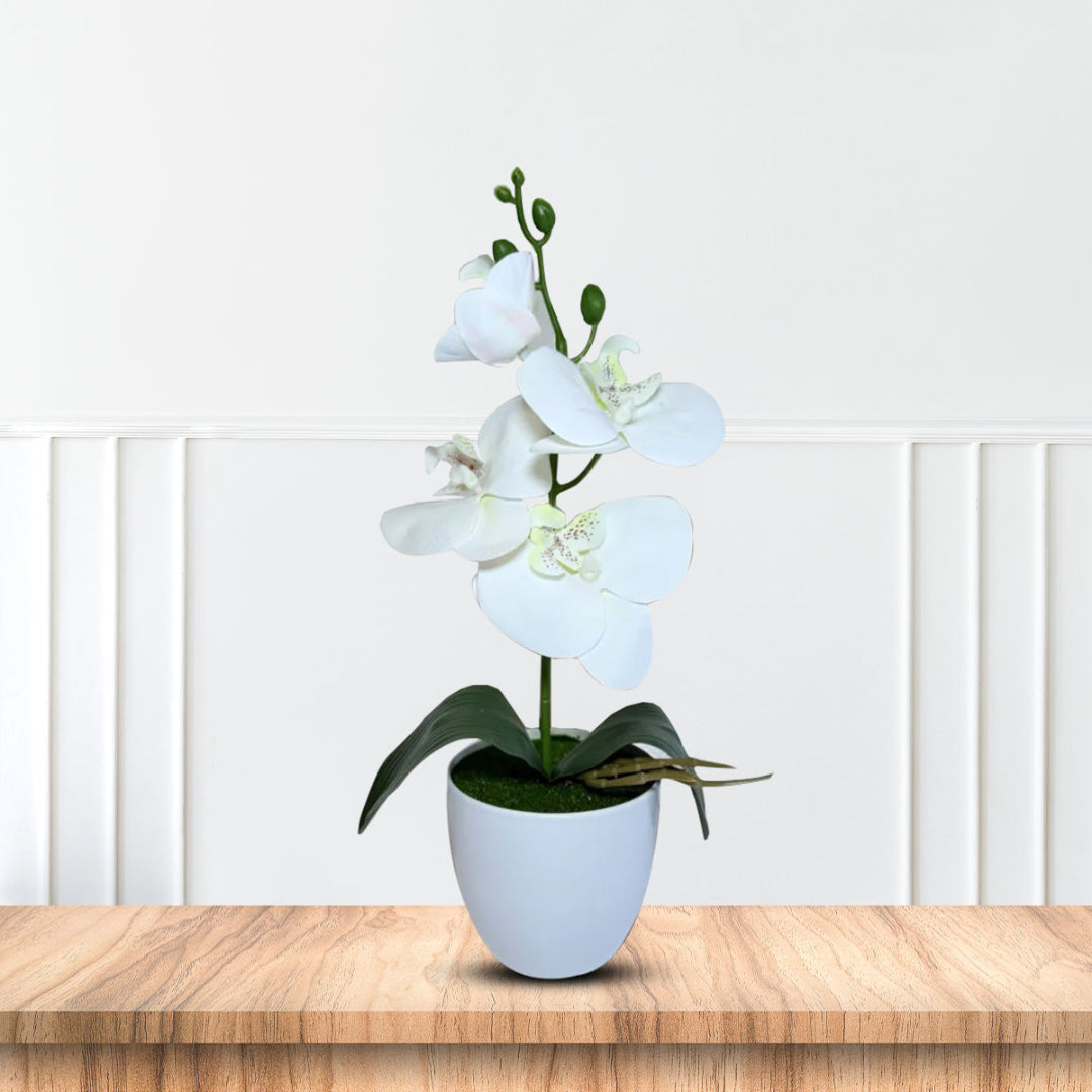 NEW - Gorgeous White Mini Orchid In Different Type of Pot - Artificial – artificial plant