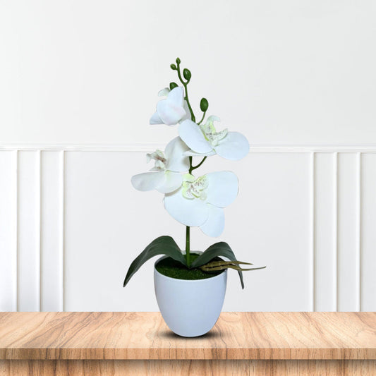 NEW - Gorgeous White Mini Orchid In Different Type of Pot - Artificial – artificial plant