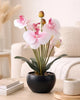 Artificial Plants