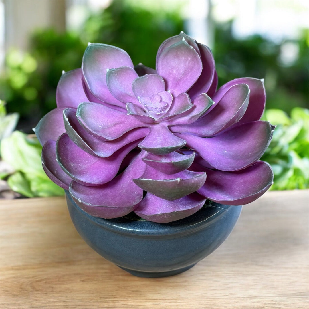 Decorative artificial echeveria succulent arrangement with realistic foliage