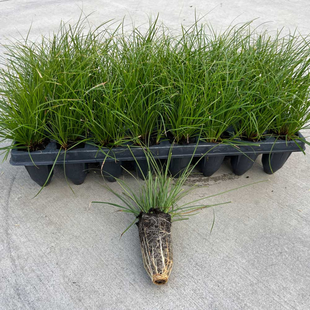 homeandgardensforless.com