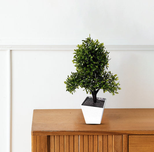 small decorative bonsai tree for office desk decor