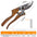 Pruning fruit trees pruning branches garden scissors