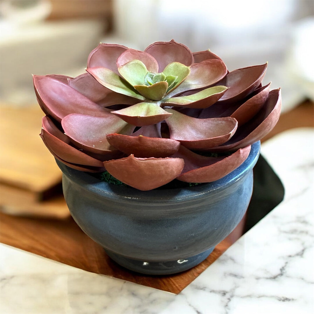 Realistic artificial echeveria plant with detailed succulent rosette