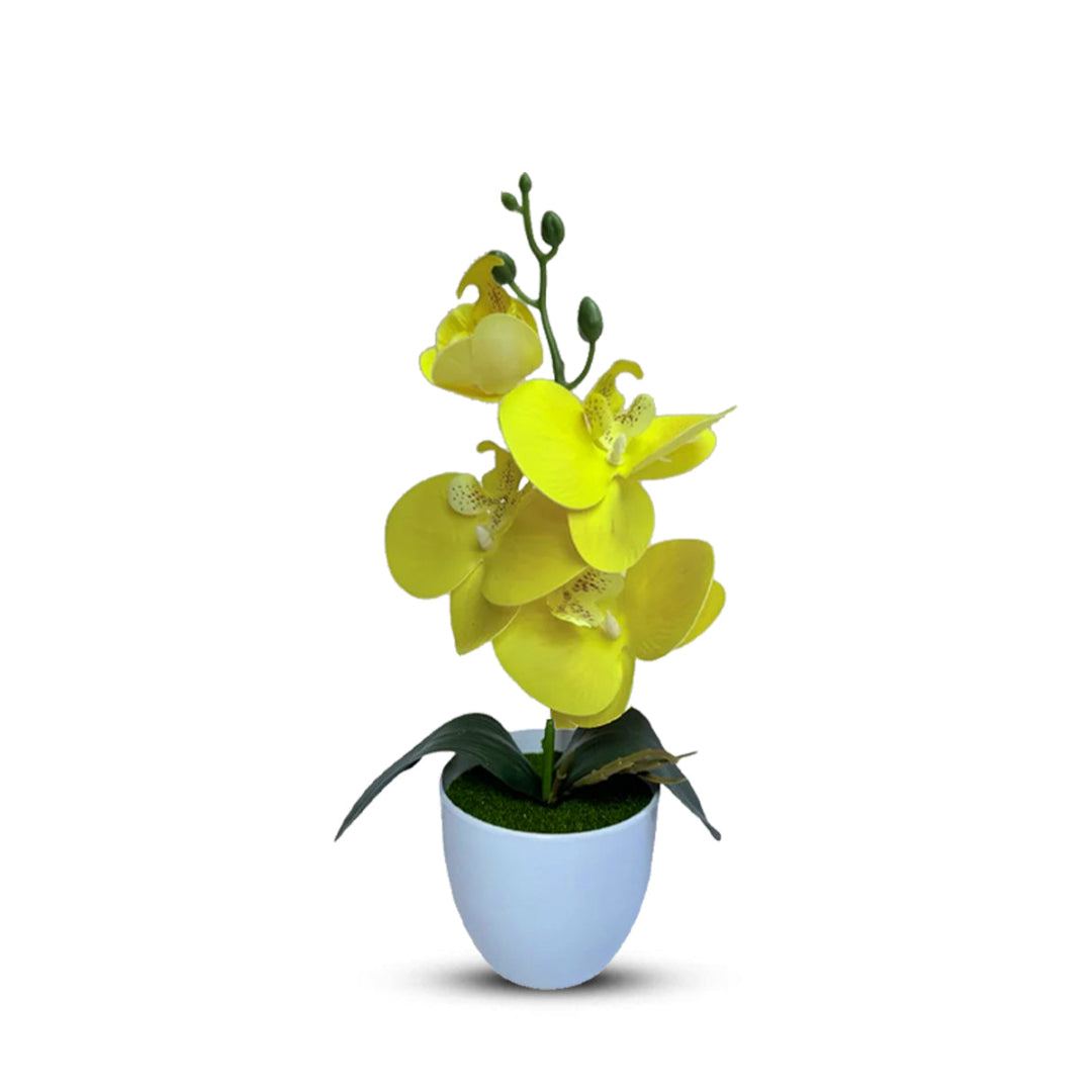 Gorgeous Yellow Mini Orchid Artificial Plant in Decorative Plastic Pot