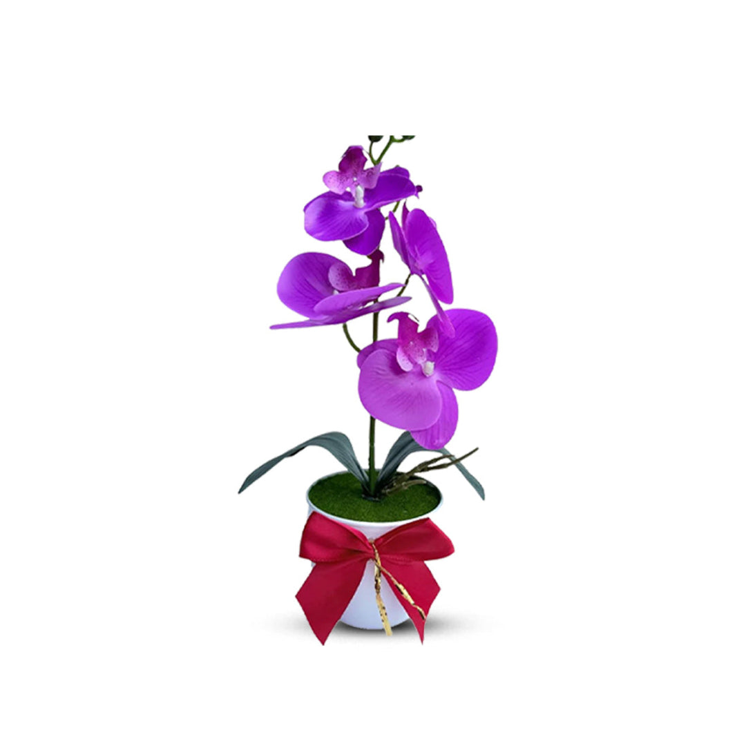 NEW - Gorgeous Purple Mini Orchid In Different Type of Pot - Artificial – artificial plant