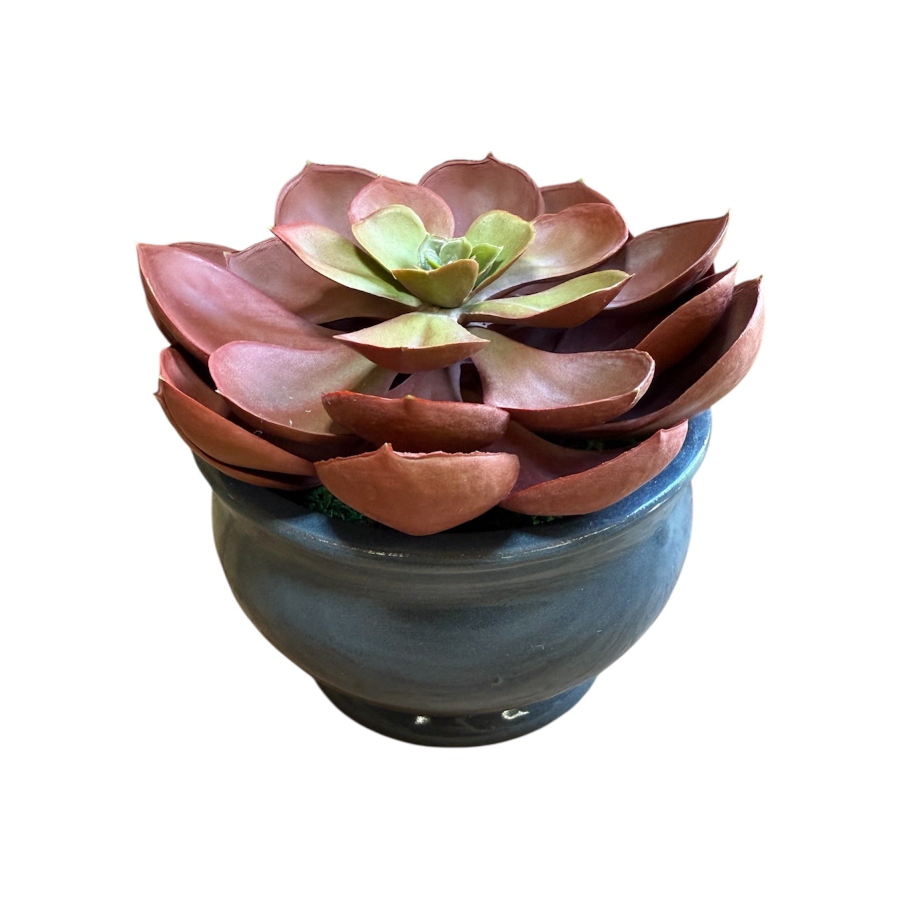 Faux echeveria succulent in decorative gray ceramic planter