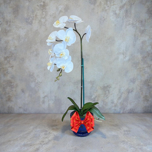 Elegant White Orchid in Blue Ceramic Pot
