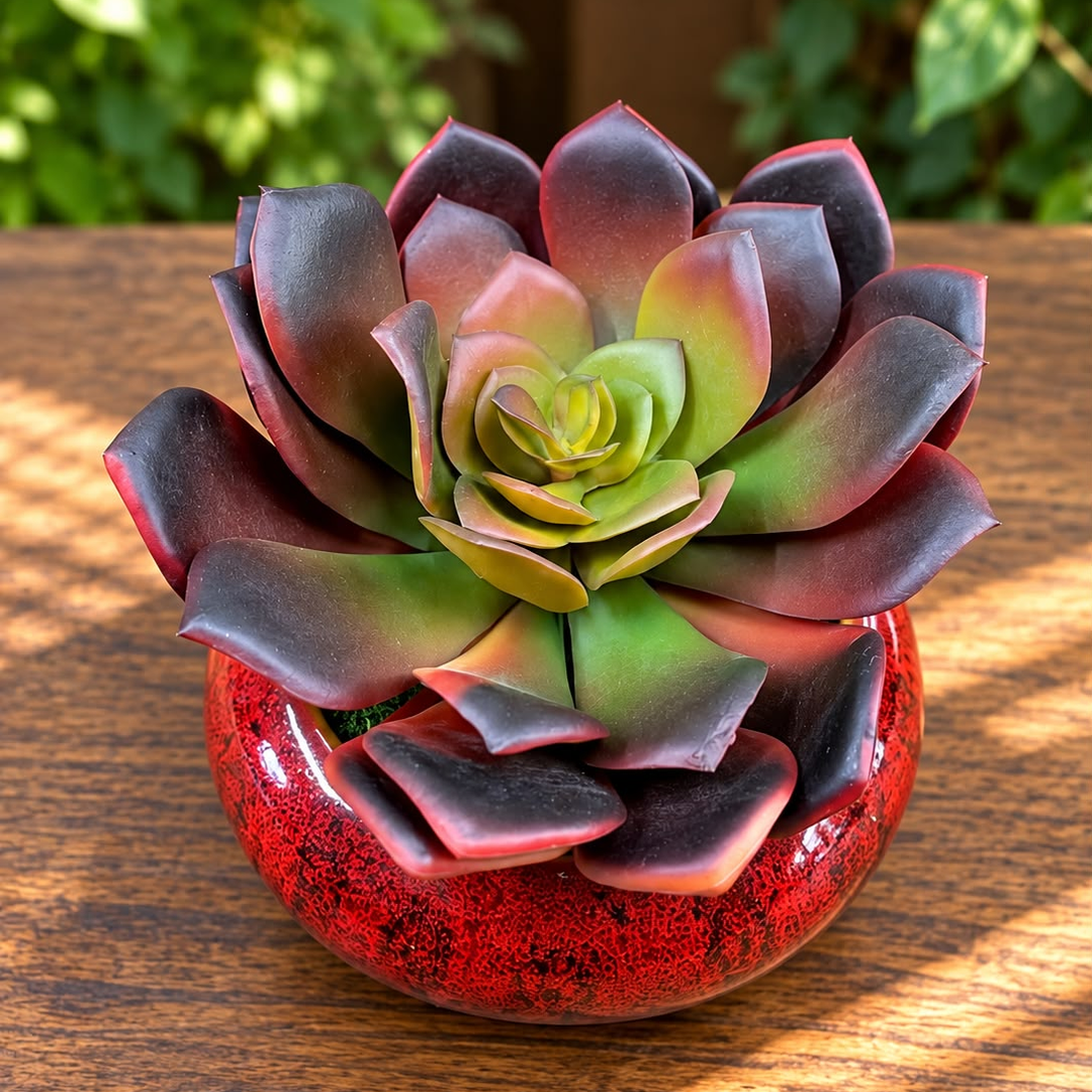 Artificial Burgundy Echeveria Succulent in Ceramic Pot