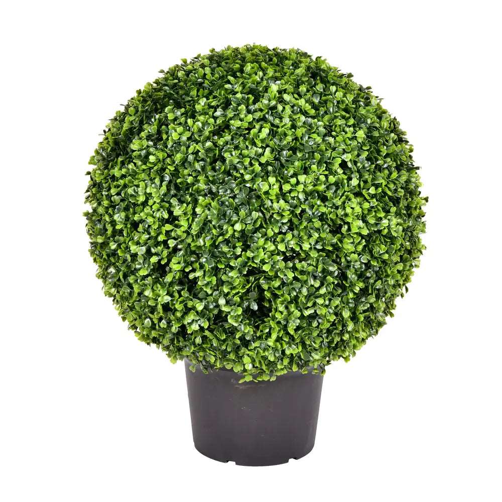 Artificial Plant : Boxwood Ball In Pot