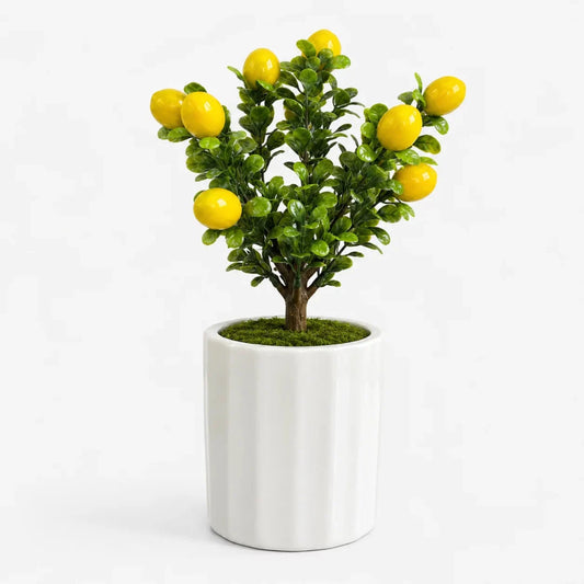 Artificial Lemon Bonsai in Ceramic Pot for living room, kitchen, office, and shelf decor