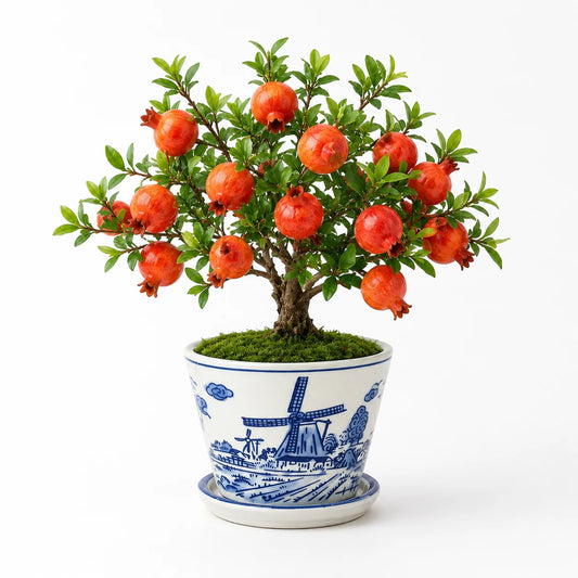 Artificial pomegranate bonsai in a blue and white ceramic planter.