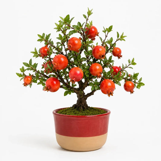 Artificial pomegranate bonsai in a red ceramic planter.