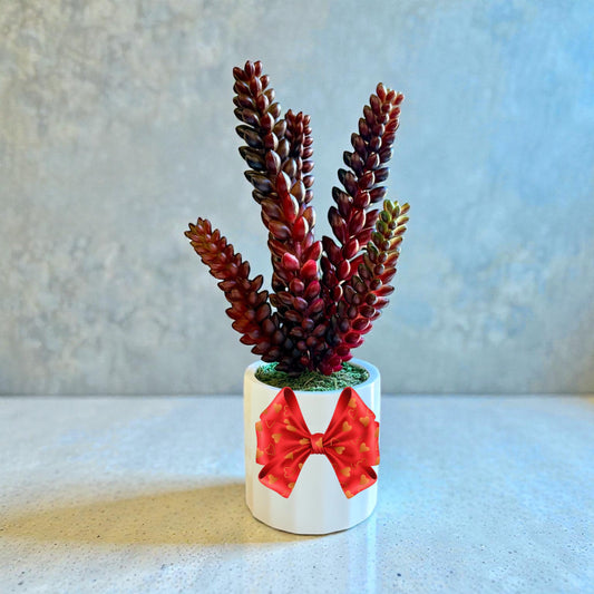 Artificial Burro’s Tail Succulent in White Ceramic Pot– Perfect Gift for Home or Office