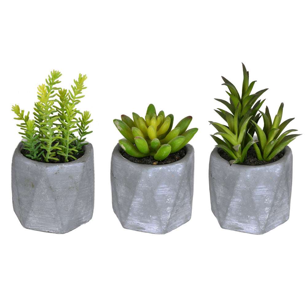 Artificial Plant : Potted Succulent Set of 3 Assorted