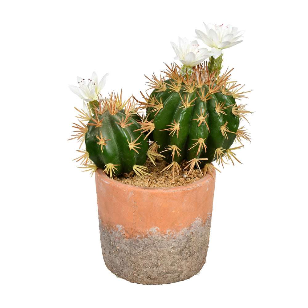 9 Inches Green Potted Cactus