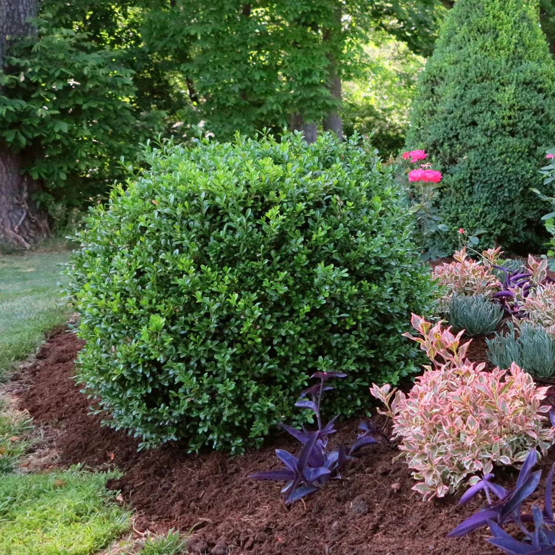 homeandgardensforless.com