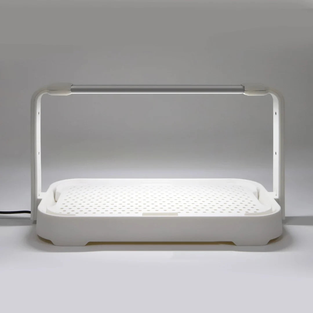 LED microgreen grow kit with full spectrum grow light for indoor smart gardening