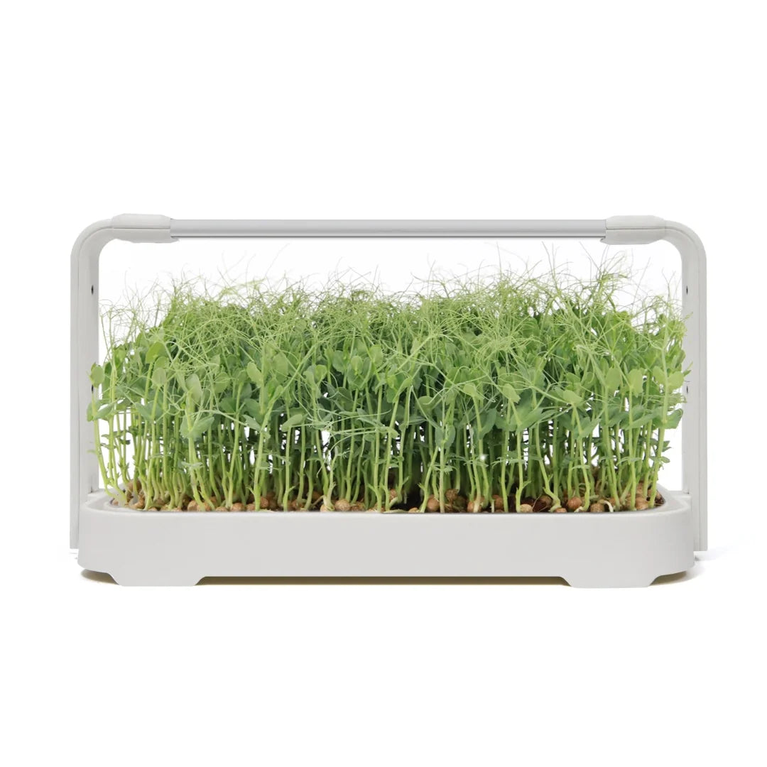 LED microgreen grow kit with full spectrum grow light for indoor smart gardening