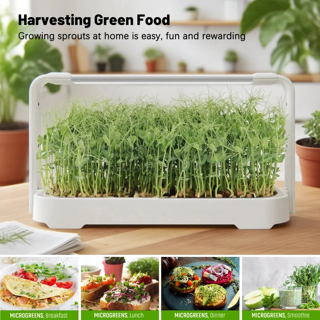 LED microgreen grow kit with full spectrum grow light for indoor smart gardening