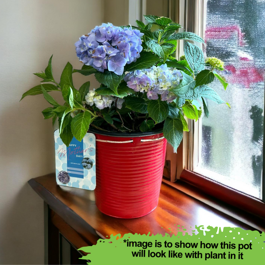 Premium alluring planter pot for indoor plant styling