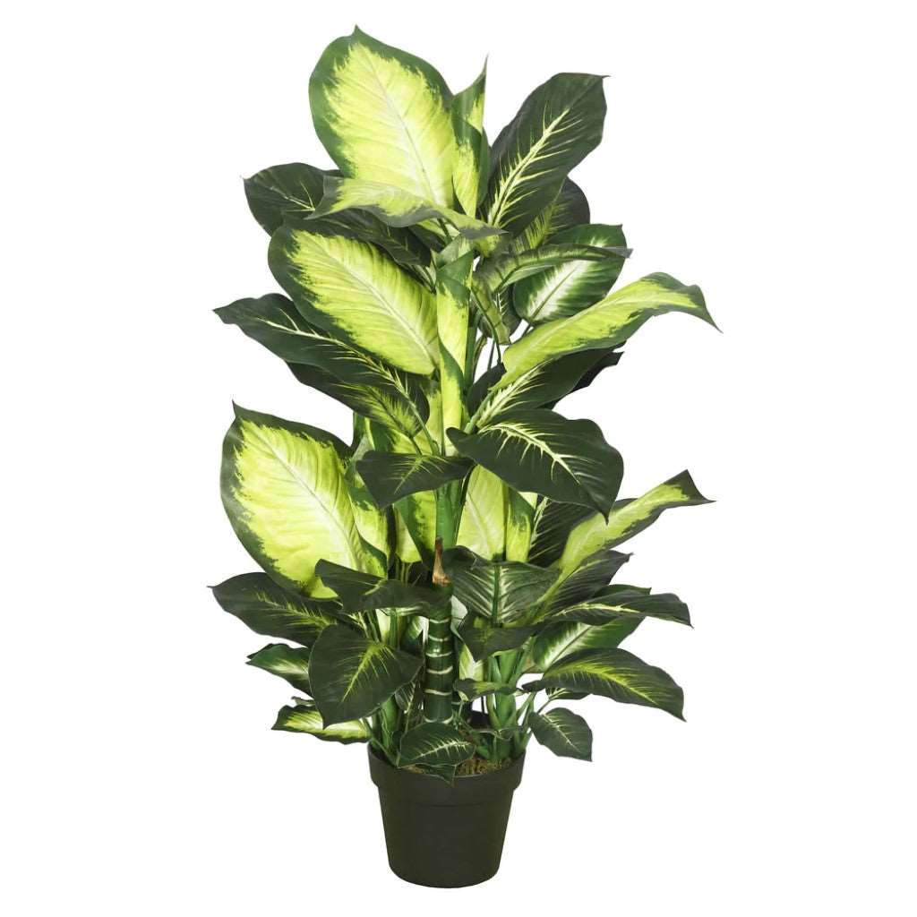 Artificial : Dieffenbachia Green White with Pot Online on Sale from HnG Nursery for trees & plants
