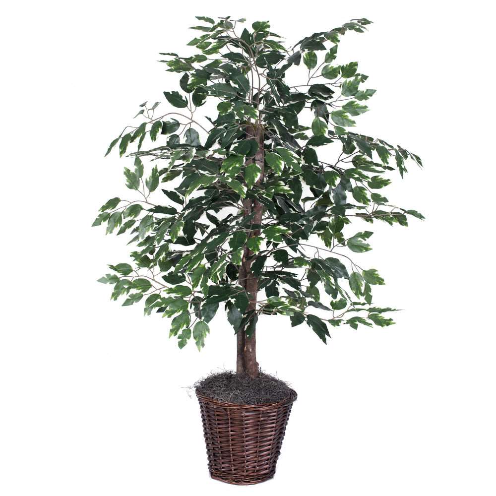 Artificial Plant : Variegated Ficus Bush