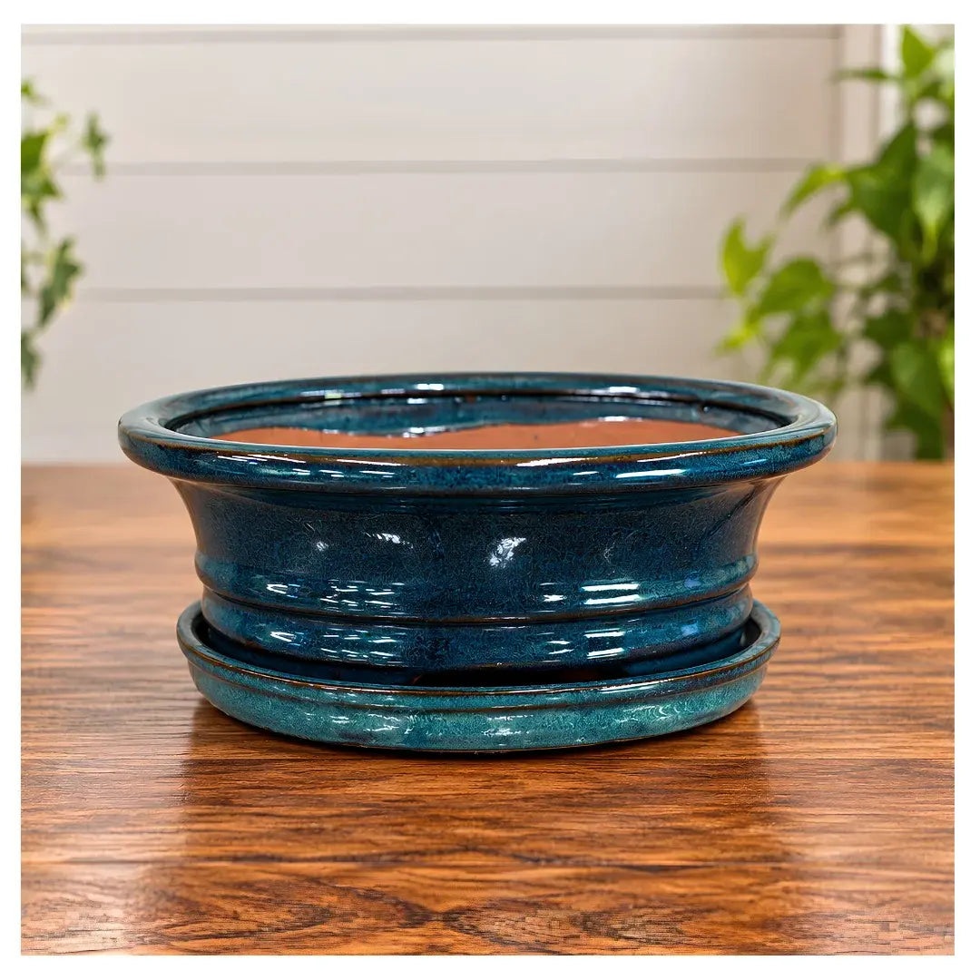 8" Professional Bonsai Planter with Matching Saucer