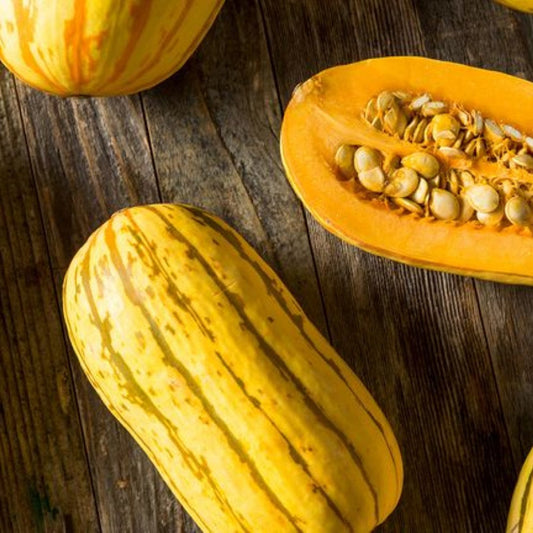Winter Squash