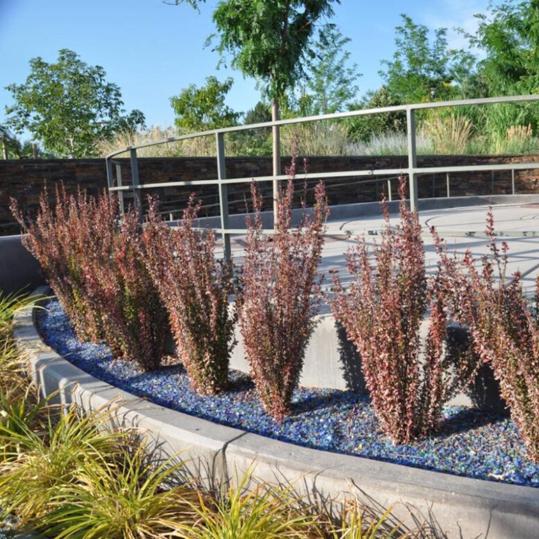 homeandgardensforless.com