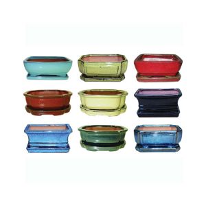 6" Professional Bonsai Pot with Matching Saucer – Durable Ceramic Planter for Indoor & Outdoor Bonsai