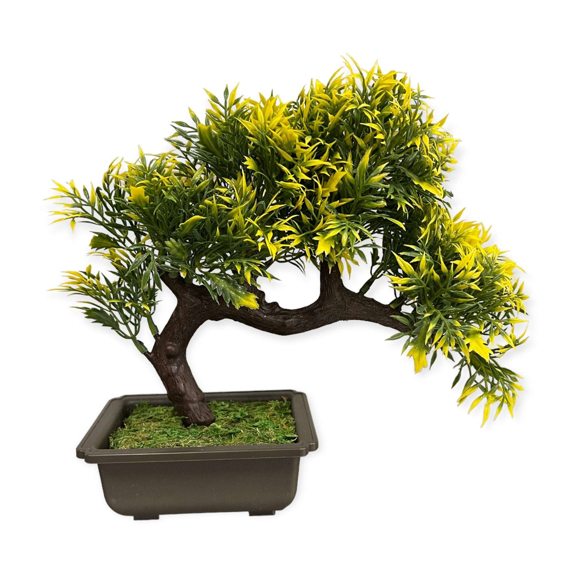 Artificial : Yellow & Green Sideways Bonsai Online on Sale from HnG Nursery for trees & plants