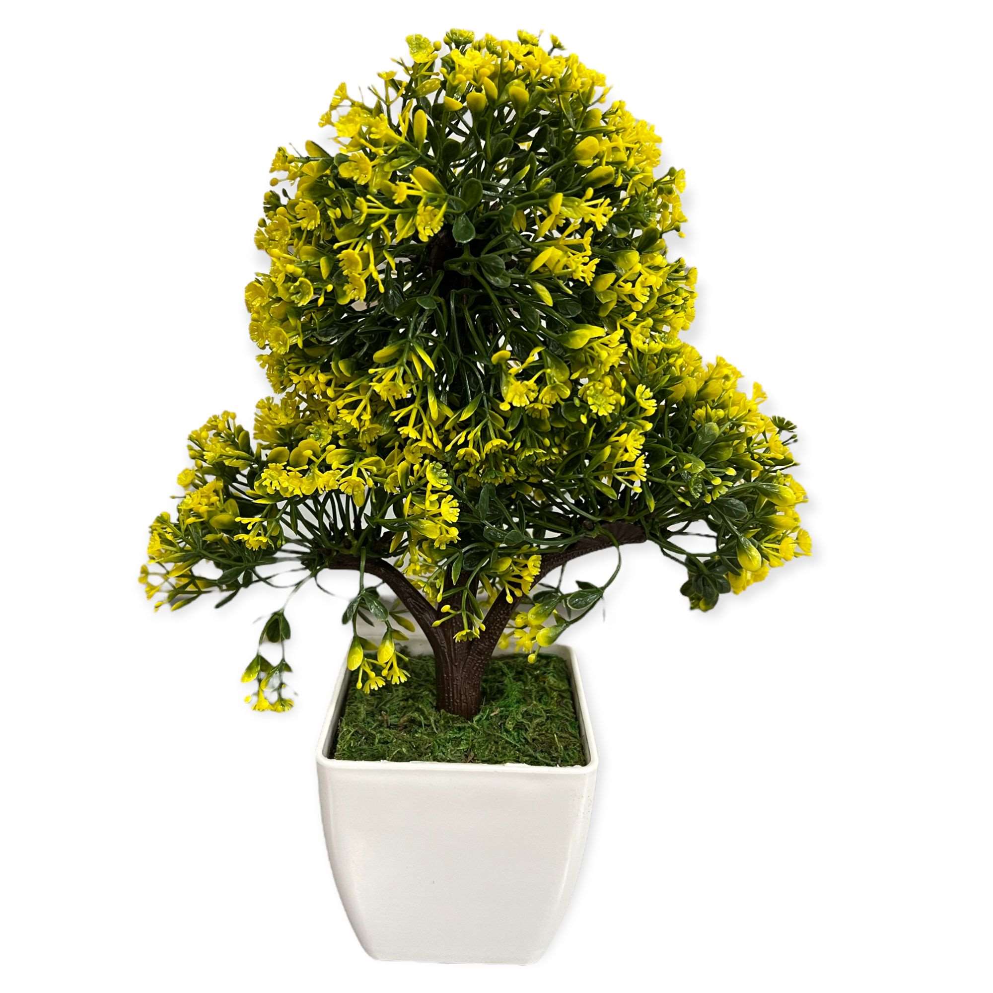 Artificial : Green & Yellow Bonsai with Pot Online on Sale from HnG Nursery for trees & plants