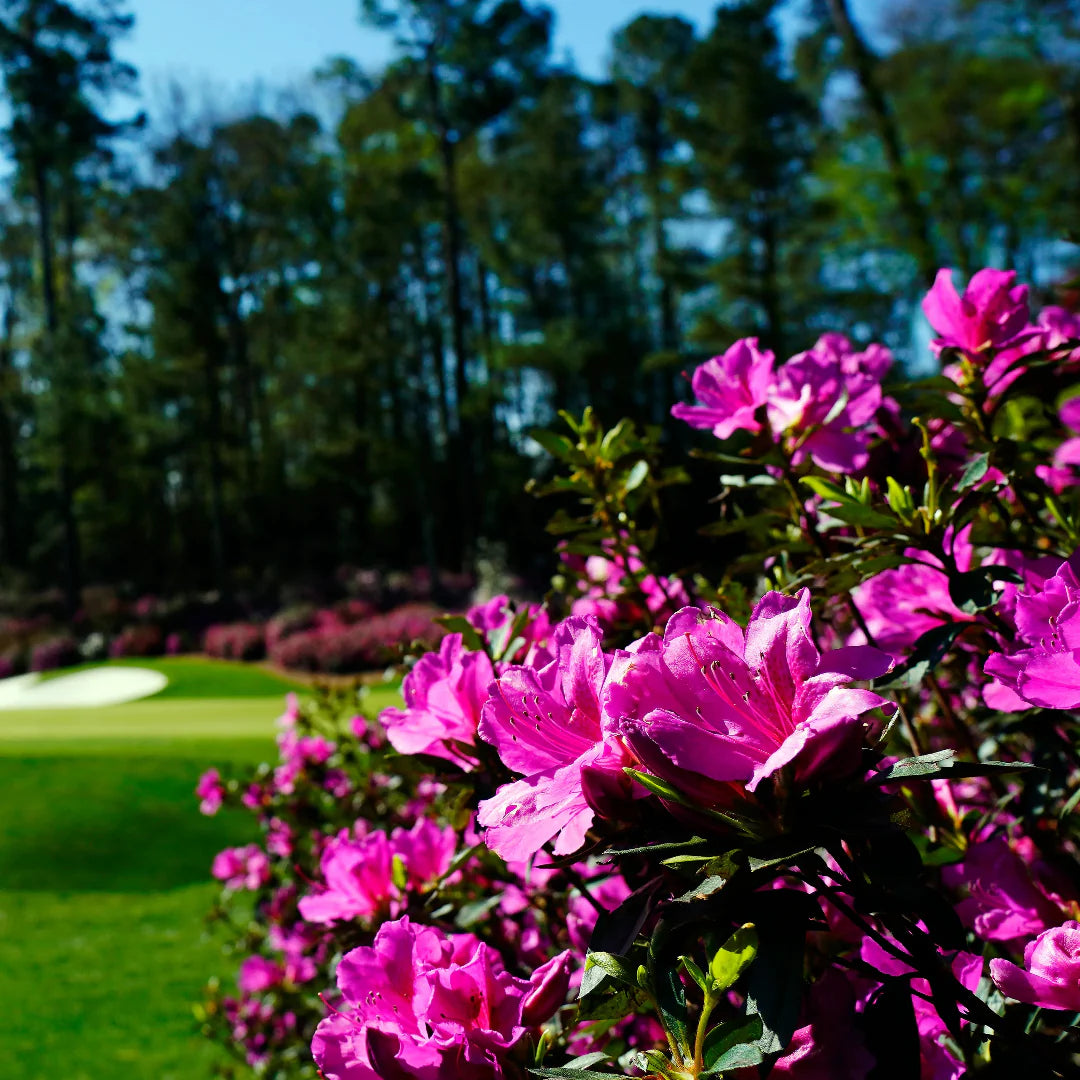 homeandgardensforless.com