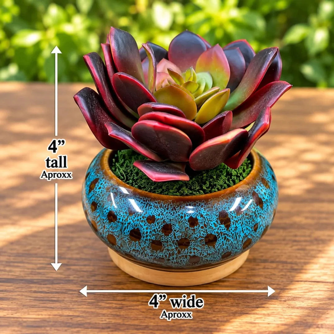 Artificial Burgundy Echeveria Succulent in Ceramic Pot