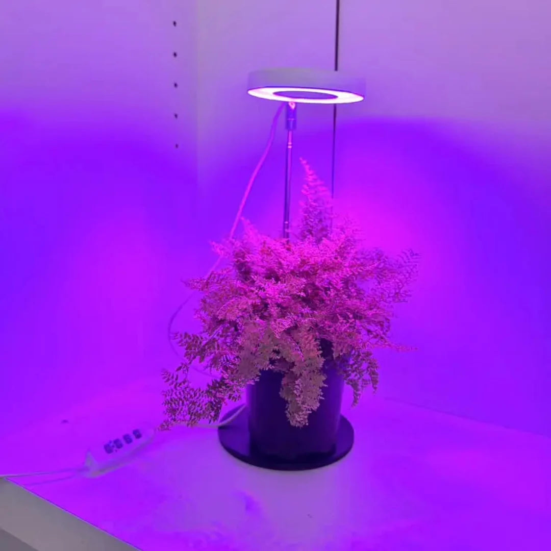 LED Plant Grow Light (Copy)