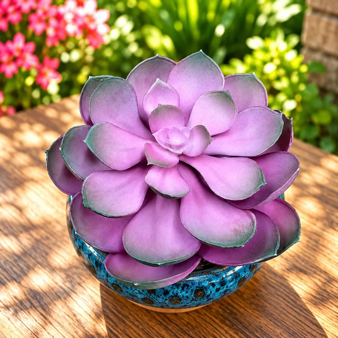 Artificial Purple Echeveria Succulent in Decorative Blue Ceramic Pot