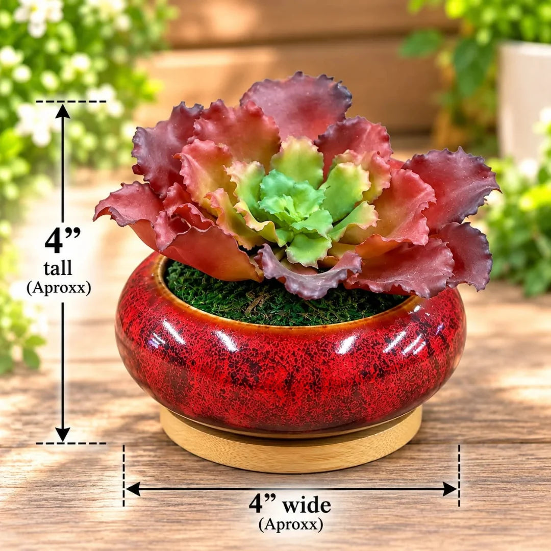 Artificial Red Ruffled Echeveria Succulent in  Ceramic Pot