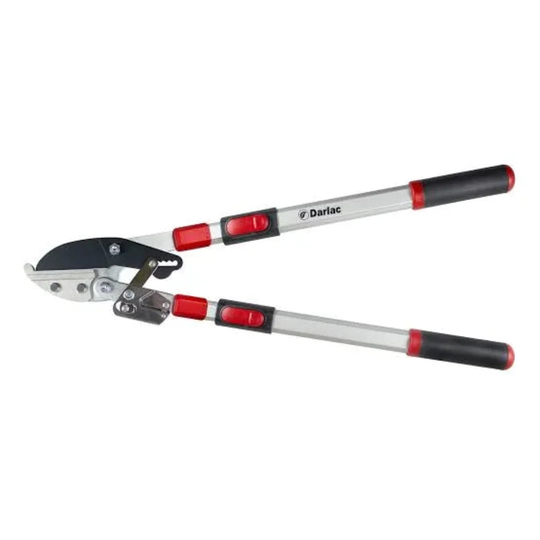 Ratchet Lopper – Effortless Branch Cutting Lopper with Compound Action