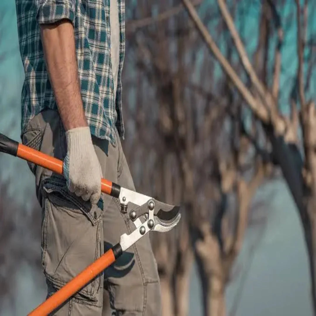 Ratchet Lopper – Effortless Branch Cutting Lopper with Compound Action